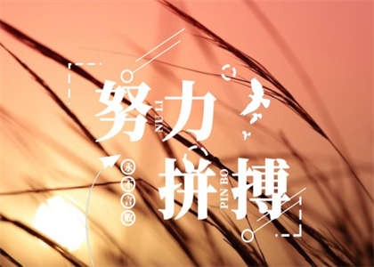 东北师范大学考研资讯